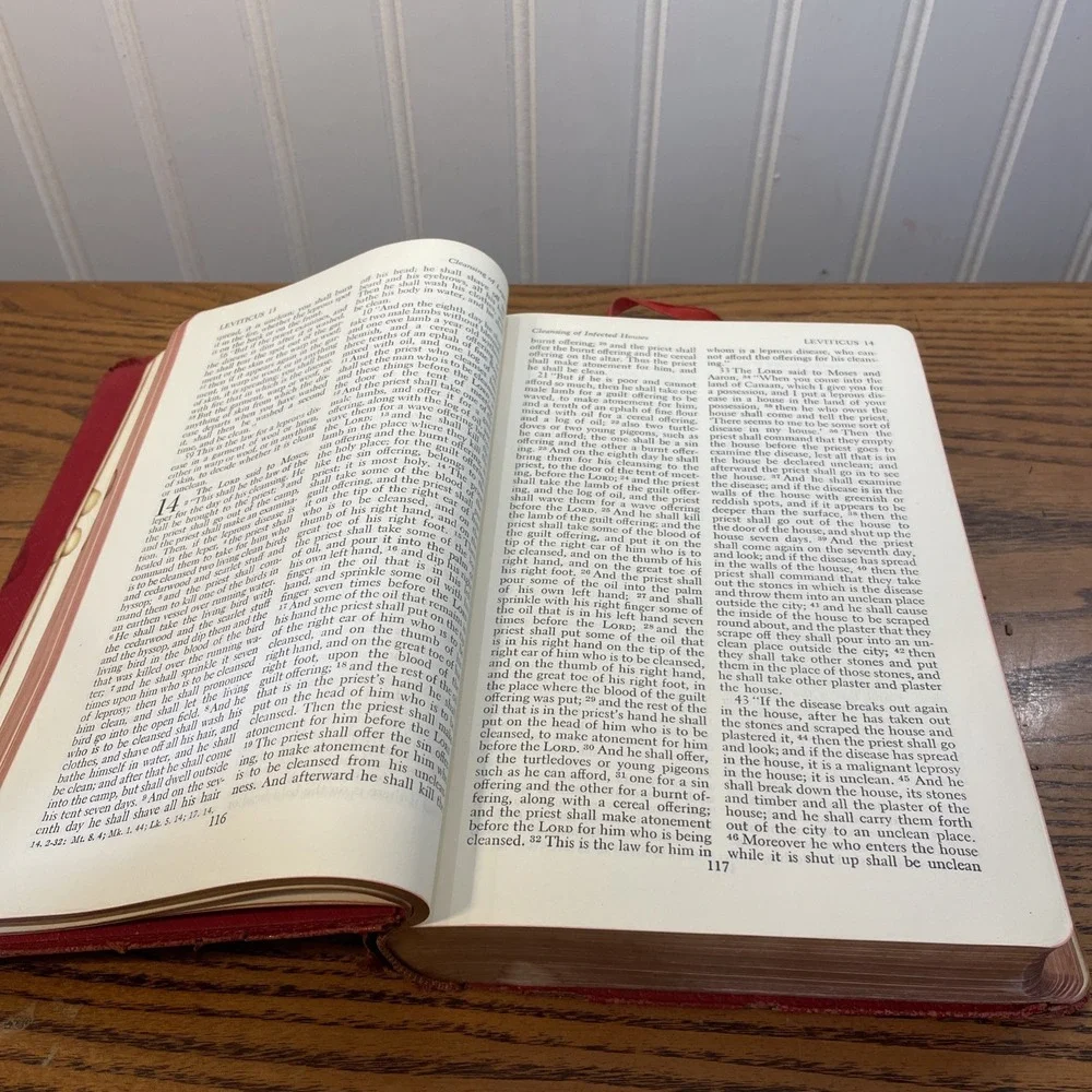 HOLY BIBLE - RSV Revised Standard Version, Vtg 1953 World Red Morocco Leather